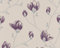 A.S. Création 6599-34 Tapete, florales Muster, beige lila grau
