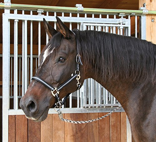 Kerbl Halfter Mustang 2-Fach verstellbar, Schwarz/Silber, 2, 321965