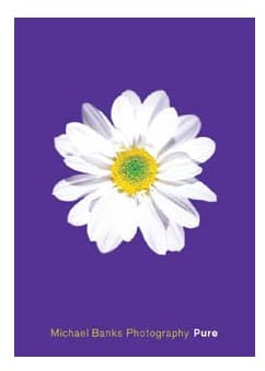 Poster - Banks (Pure) [Size 59,4 cm x 84,1 cm] - gerollt