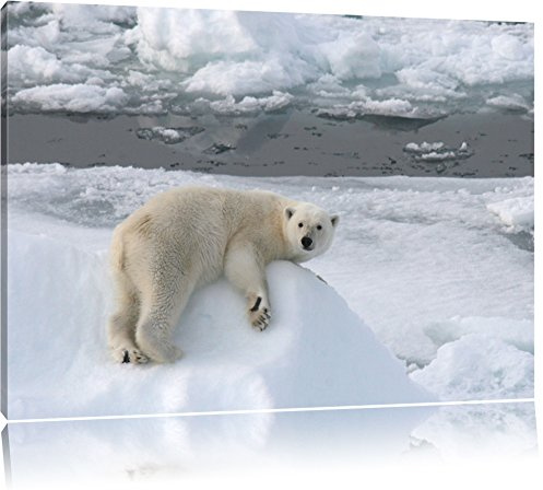 Pixxprint schöner Eisbär auf kleinem Eisberg, Größe: 100x70cm, Leinwandbild, fertig gespannt, Wandbild, Dekoration, Kunstdruck, kein Poster