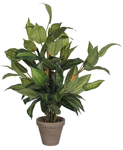 Mica decorations Funkie in Stan Topf, Polyester, Gruen, 40 x 40 x 65 cm, 4-Einheiten