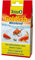 Tetra Goldfish Weekend