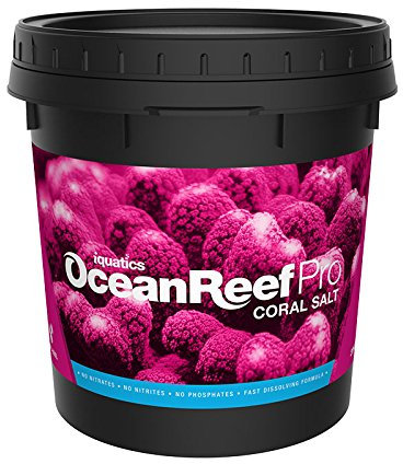 iQuatics Ocean Reef Pro Coral Salt – 10KG Bucket | Advanced Synthetic Formula | Fast-Dissolving, Residue-Free | Perfect Element Balance for Reef Aquariums | Enhances Coral Growth & Vibrancy