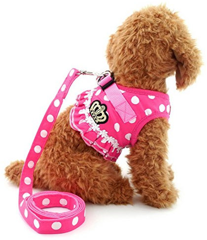 selmai Puppy klein Katze Mädchen Hund Vest Dots Harness Leine-Set Mesh Gepolsterte kein Ziehen Blei