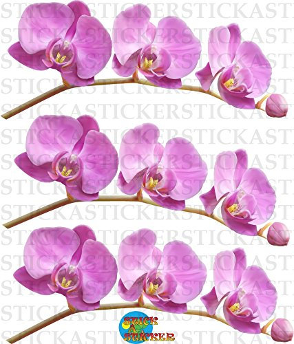 Sticker Autocollant Nature 3 Orchidées 29x39 cm