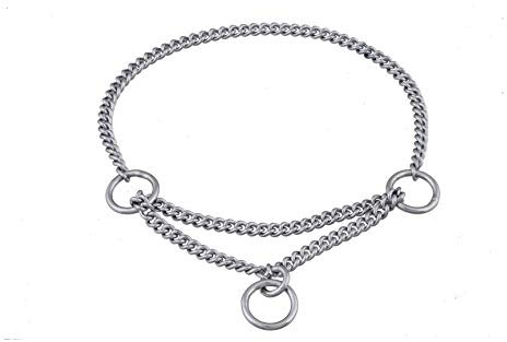 Alvalley Martingale-Halsband für Hunde – Show-Kette Hundehalsband – aus Messing – sicher, einfach zu handhaben – geeignet zum Ausstellen, Training und Spazierengehen – perfekt für kleine, mittelgroße