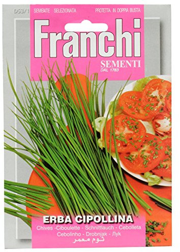 Franchi Samen Schnittlauch