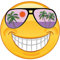 Kleberio Aufkleber mit lila Sonnenbrille lachend wetterfest für Helm Autoaufkleber Wohnmobil Mülltonnenaufkleber Wohnwagen Moped LKW Coole Sticker Set Car Sticker Aufkleber Auto Kinderzimmer 20 x 20cm