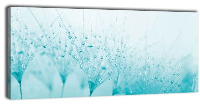 wandmotiv24 Leinwandbild Panorama Nr. 288 Pusteblume Türkis 100x40cm, Keilrahmenbild, Bild auf Leinwand, Löwenzahn Blüte Schirmchen