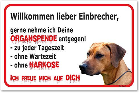 AdriLeo Schild - Vorsicht Rhodesian Ridgeback - Willkommen Lieber Einbrecher - (15x20cm) / Achtung Hund Wachhund robust langlebig UV-beständig wetterfestes Warnschild