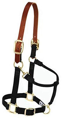 Weaver Leather Halfter für Pferde, Nylon, verstellbar, Größe S, Schwarz