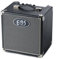 EBS EBSSE30 Bass Combos - Altavoz y ecualizador (30 W, 1 altavoz de 8 pulgadas)