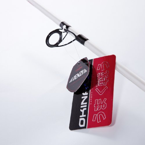 Jenzi Spinnrute Rute Okinawa JPX 12-30g 2,10m