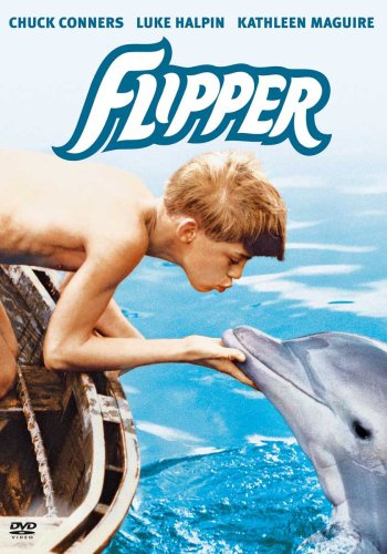 Warner Home Video - DVD 5080095