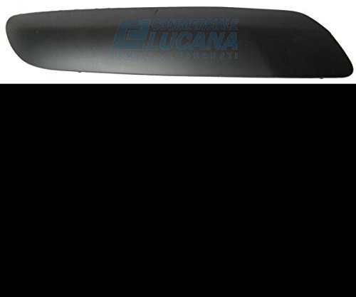 Prasco PG4241263 Trim/Protective Strip, bumper