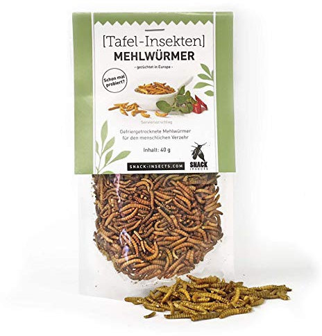 Mehlwürmer 40g - essbare Insekten von 'SNACK insects' - Insekten zum Essen