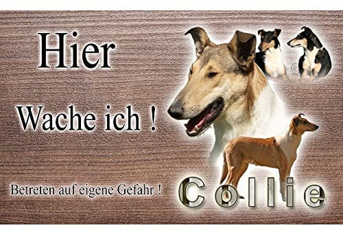 Warnschild Hund oder Warnzeichen Collie (Kurzhaar) 30 cm