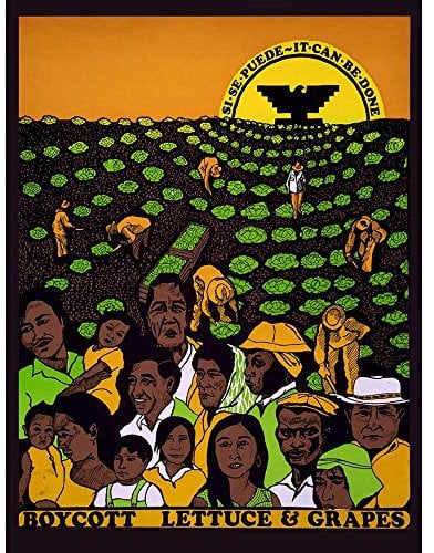 Wee Blue Coo Political United Farm Workers Grape Lettuce Boycott Art Print Poster Wall Decor Kunstdruck Poster Wand-Dekor-12X16 Zoll