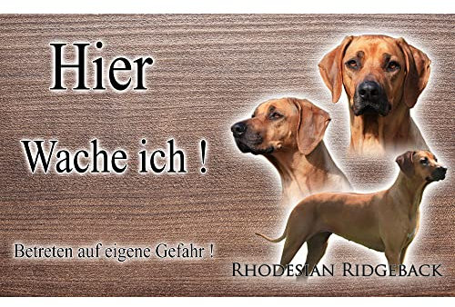 hier wache ich hund Rhodesian Ridgeback 20/12,5 cm