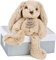 Histoire d'Ours - Peluche Lapin - Boite Cadeau - Beige - 25 Cm - Douce et Mignonne - Idée Cadeau de Naissance et Anniversaire Fille et Garçon - HO2430