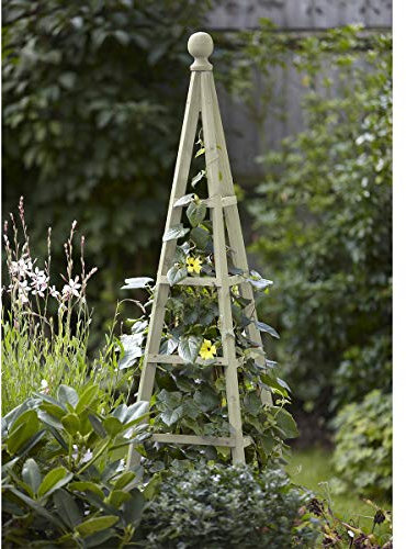 Woodland Obelisk Sage 1.9M, Multi-Colour