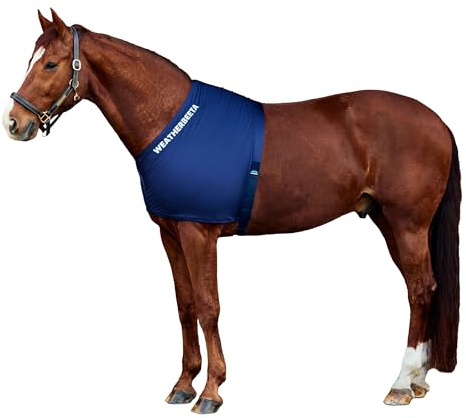 WeatherBeeta Stretch Shoulder Guard, Navy, Full
