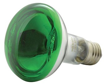 qtx R80 Coloured Reflector Lamps | GREEN