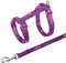 TRIXIE Katzengarnitur, Motivband, Nylon, 22–36 cm/10 mm, 1,20 m
