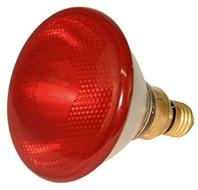 Kerbl Infrarotlampe Sparlampe rot (175 W, Wärmelampe für Schweine + Geflügel, Laufzeit max. 5000 Stunden, Lampensockel E27, Stalllampe) 22247