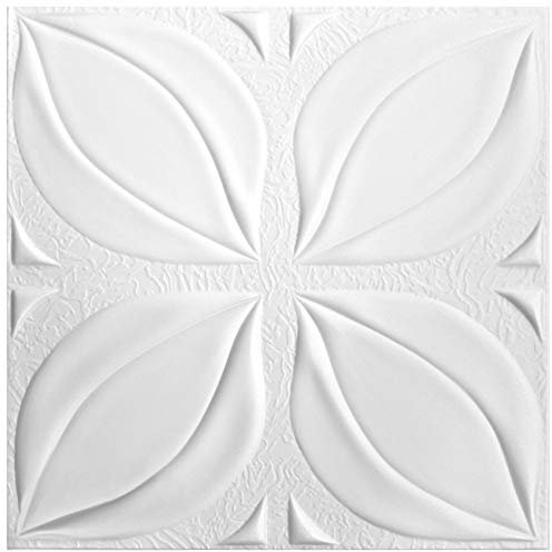 1 m² | placas de techo | XPS | indeformables | Hexim | 50 x 50 cm | Nº 113