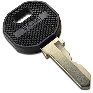 DIGITUS Professional DN-19 KEY-EK333 Schlüssel für DN-19 PHS, Schwarz / Edelstahl, 1 Stück