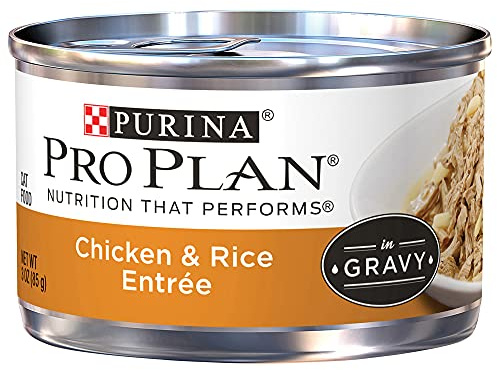 Nestle Petcare Pro Plan Chicken & Rice Entree for Adult Cats, 1 Count, One Size