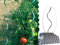 Tomaten-Spiralstab, Tomatenstab, 5-er Set