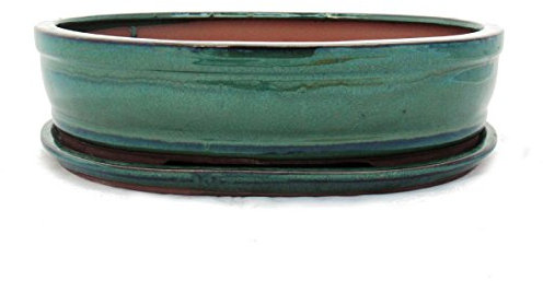 exotenherz - Bonsai-Schale mit Unterteller Gr. 5 - Grün - oval - Modell O7 - L 31cm - B 24cm - H 7,5 cm