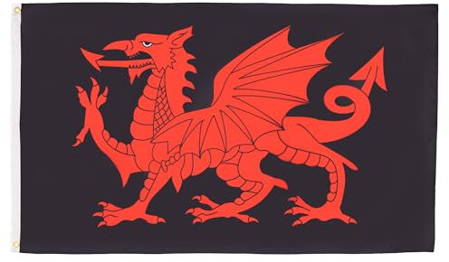 AZ FLAG - Flagge Wales Schwarzer Drache - 90x60 cm - Walisische Fahne 100% Polyester mit Messing-Ösen - 50g