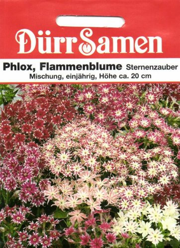 Dürr Samen 0635 Flammenblume Mischung (Flammenblumensamen)