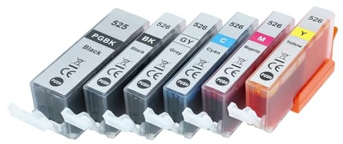 vhbw 6X Tintenpatronen kompatibel mit Canon Pixma MG5150, IX6550, MG5200, IP4950, MG5100, IP4900, IP4850, IP4800 Drucker + Chip (Kompatibel)