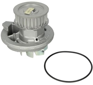 Hepu P314 Wasserpumpe
