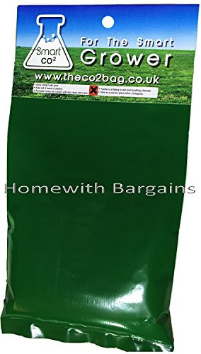 Smart CO2 STL-SMRT-co2 5 – 15 m2 Area Organico Bag idroponica Grow rese, Verde, Grande