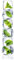 Eurographics Stack of Mint Ice Cubes 30x80 DecoGlass, Glas, grün, blau, 80x30x2 cm
