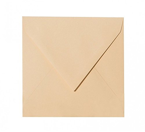 Paper24 50 quadratische Briefumschläge 155 x 155 mm mit Spitzlasche, 120g, Farbe: 03 Camel