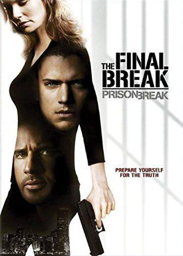 Prison Break: The Final Break / (Ws Ac3 Dol) [DVD] [Region 1] [NTSC] [US Import]