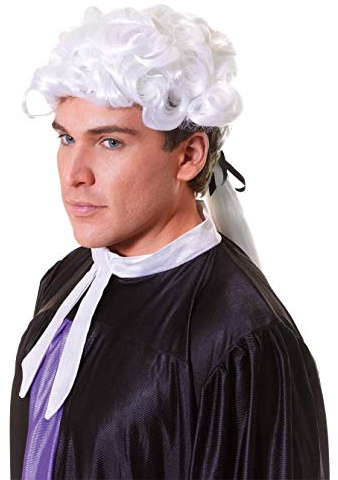 Forum Novelties Bristol Novelty BW353 Jurist Perücke