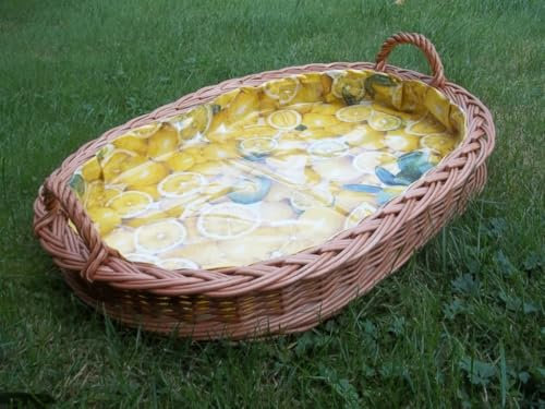 Tablett aus Weide und Holz mit Innenfutter