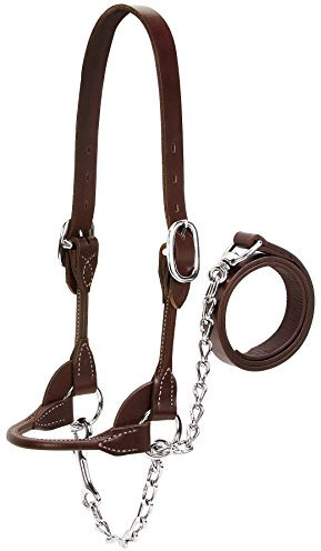 Weaver Leather Livestock Abgerundetes Halfter für Milch- und Rindfleisch