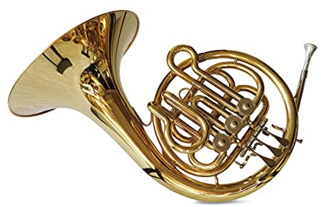 SYMPHONIE WESTERWALD Waldhorn für Kinder Kinderhorn in Bb in Gold/Silber, inkl. Luxus-Hartschalenkoffer und Zubehör, Neu