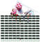 MamboCat 100er Set Sturzglas 125 ml Marmeladenglas Einmachglas Einweckglas to 66 schwarzer Deckel incl. Diamant-Zucker Gelierzauber Rezeptheft
