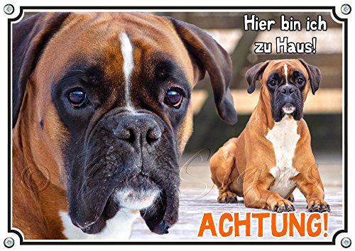 Petsigns Hundeschild Boxer - Achtung! - Exklusives Metallschild mit deutschem Boxer, DIN A5