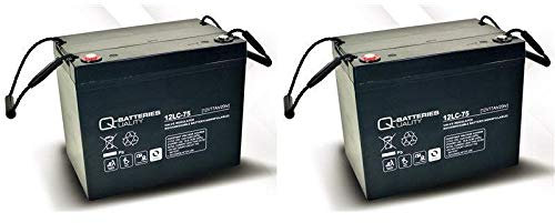 Blei Akku Batterie 2 x 12V/75Ah wie 77Ah für Rollstuhl Elektromobil Meyra Sprint