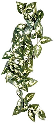 Komodo 54665 Borneo Hanging Vine 23cm